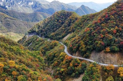 ​用五天四晚逛遍湖北神农架，必打卡景点及详细攻略来啦！