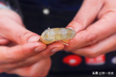 ​去虾线、还在用牙签太老套了！老渔民教你1招，分分钟剥完一大盆