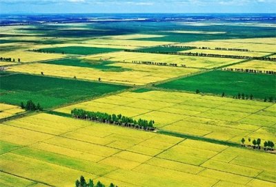 ​从粮仓到地狱：苏联农业集体化如何毁掉乌克兰？