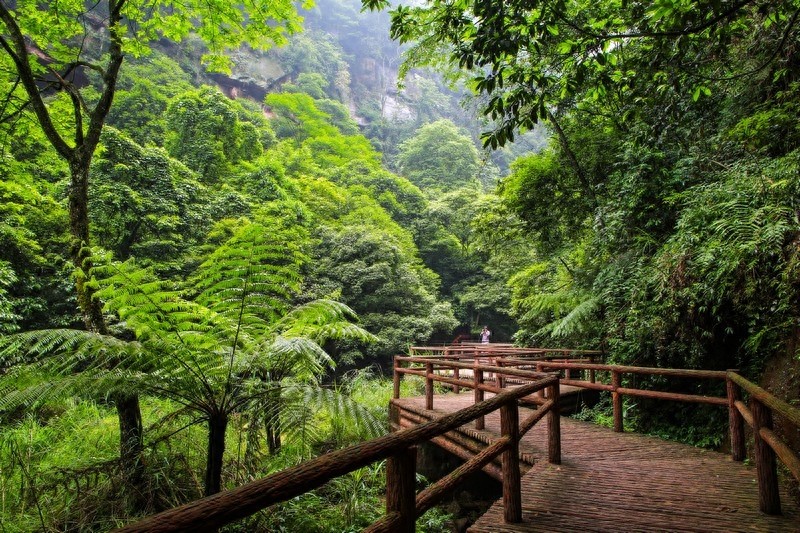 一起看看贵州赤水六大景点，赤水山川秀丽，素有千瀑之市的美誉