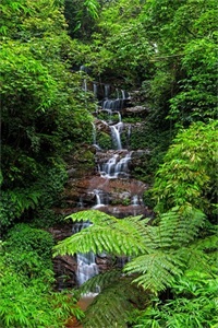 一起看看贵州赤水六大景点，赤水山川秀丽，素有千瀑之市的美誉