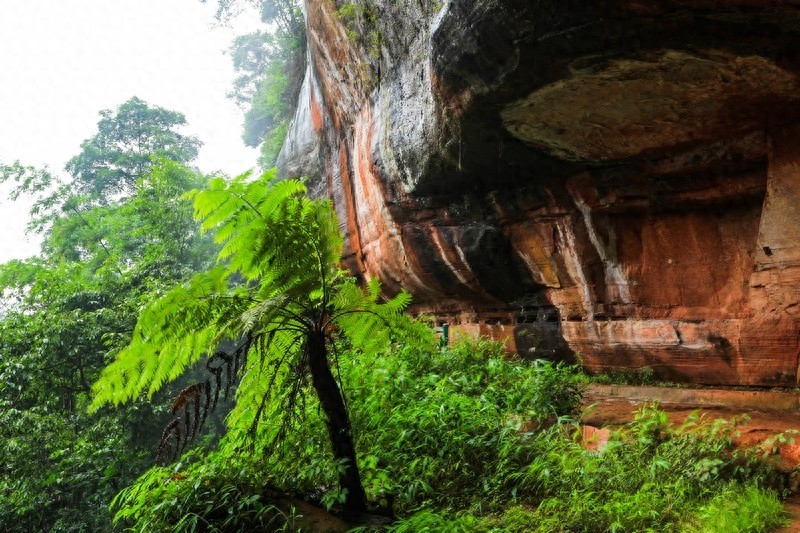 一起看看贵州赤水六大景点，赤水山川秀丽，素有千瀑之市的美誉