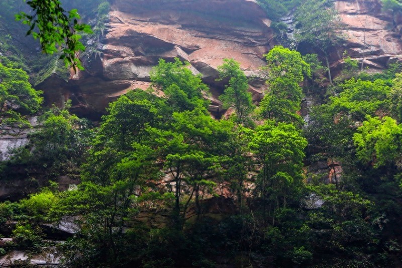 一起看看贵州赤水六大景点，赤水山川秀丽，素有千瀑之市的美誉