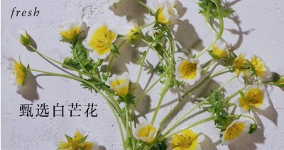 ​馥蕾诗是哪个档次（馥蕾诗这个品牌的化妆品怎么样）