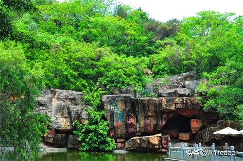 随拍公园 - 东莞 长安公园