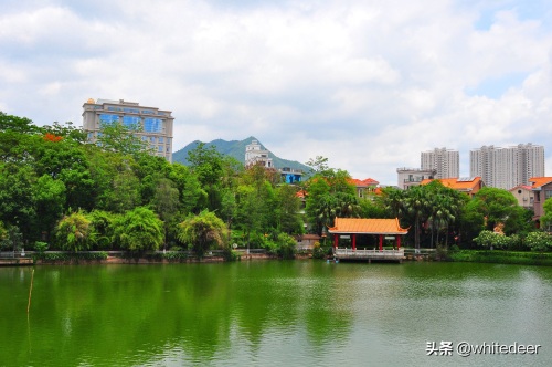 随拍公园 - 东莞 长安公园