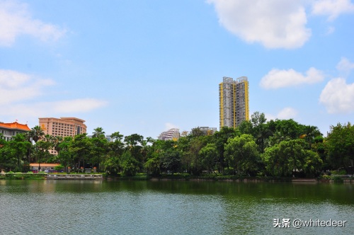 随拍公园 - 东莞 长安公园