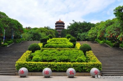 ​随拍公园 - 东莞 长安公园