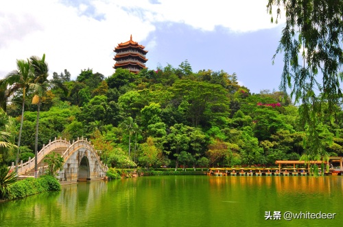 随拍公园 - 东莞 长安公园