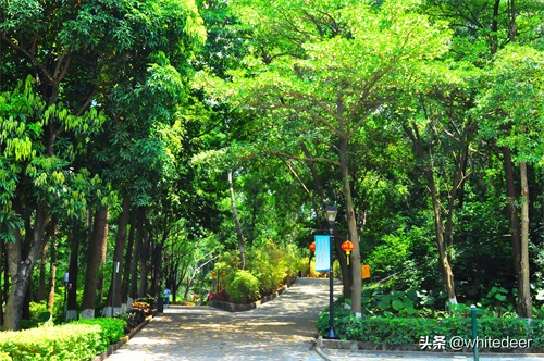 随拍公园 - 东莞 长安公园