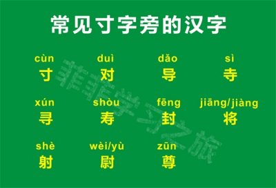 ​寸字旁的字有哪些(一年级偏旁部首寸字旁，一年级寸字旁的汉字)