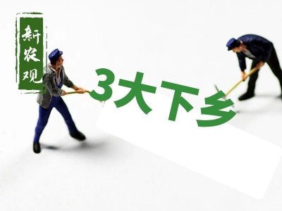 ​人、钱、物！中国农村的“3大下乡”，带来了啥？