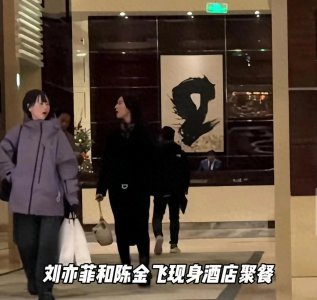 ​被造谣22年的刘亦菲，和“干爹”陈金飞聚餐，同框不避嫌很坦然