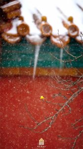 ​推荐收藏 | 中国最适合跨年的10大旅游目的地！