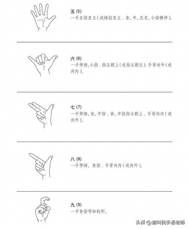 中国手语基础教程。请收藏我吧