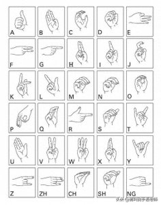 ​中国手语基础教程。请收藏我吧