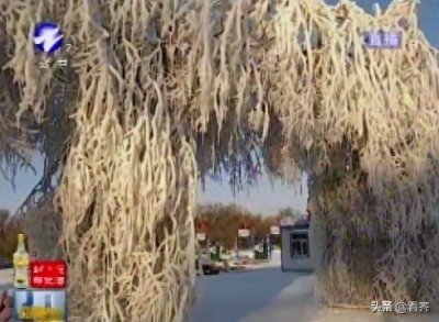 齐齐哈尔龙沙公园冰雪城堡,投了多少钱?有多好玩?啥时开放?小编带你了解一