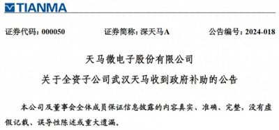 ​武汉天马微电子有限公司收到政府补助1亿元