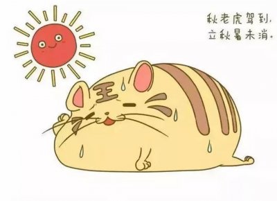 ​“秋老虎”小科普