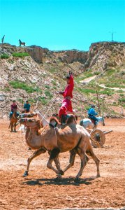 ​来宁夏旅游最值得一看精彩演出——水洞沟《北疆天歌》