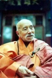 ​河南省佛教界隆重举行“纪念净严老法师圆寂29周年法会”