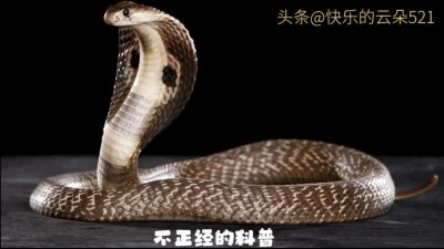 奇书 《金瓶梅》