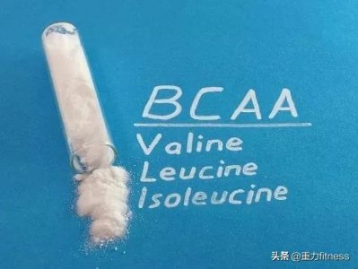​健身营养补剂篇：支链氨基酸（BCAA） 防止肌肉流失？