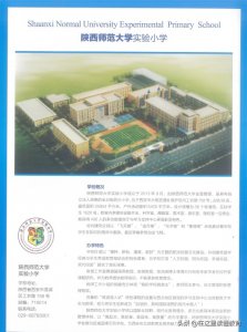 ​陕师大实验小学幼升小攻略：招生、学费、实力全解析