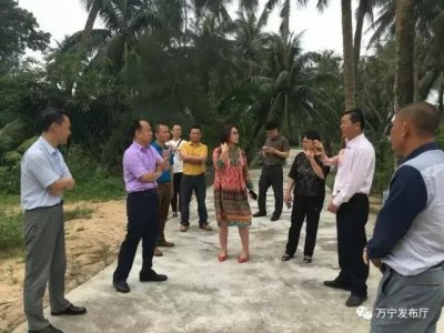 ​杨志斌、陈月花到山根镇调研美丽乡村建设