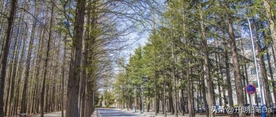 ​全国二本大学所有名单！附最好大学排名榜及文理科分数