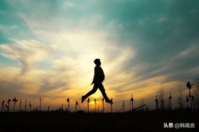 ​画图讲保险—草帽图的介绍及应用场景