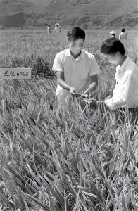 ​儿媳妇嫌我做饭太咸，送我去养老院，一场大病后她主动把我接回家