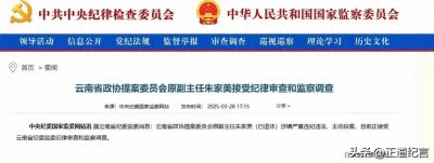 ​65岁退休厅官朱家美投案：反腐天网下，无处可逃！